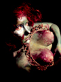 ism free tour